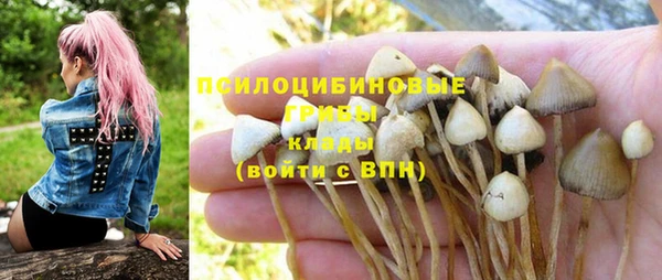 герыч Майский