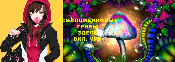 прущий лед Магас