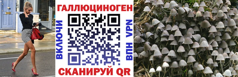 MEGA сайт  Нелидово  Галлюциногенные грибы Psilocybe  продажа наркотиков 